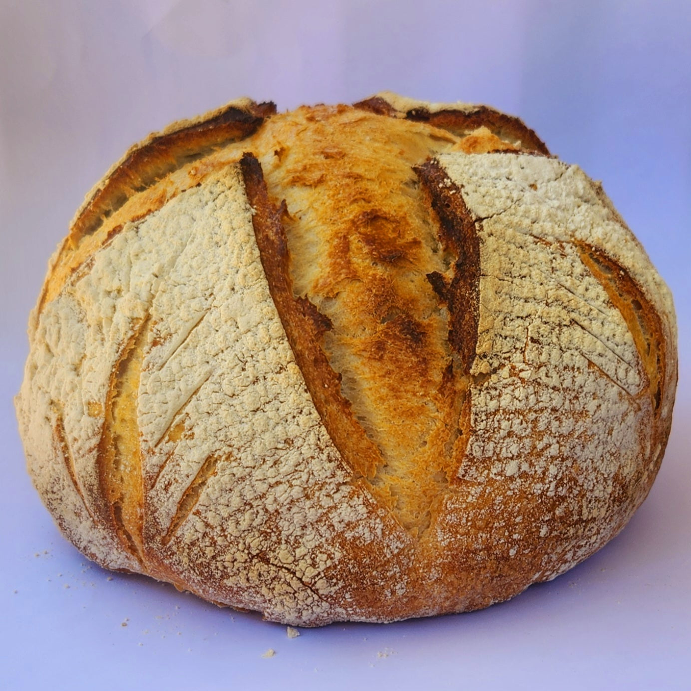 Artisan Sourdough Bread - Regular