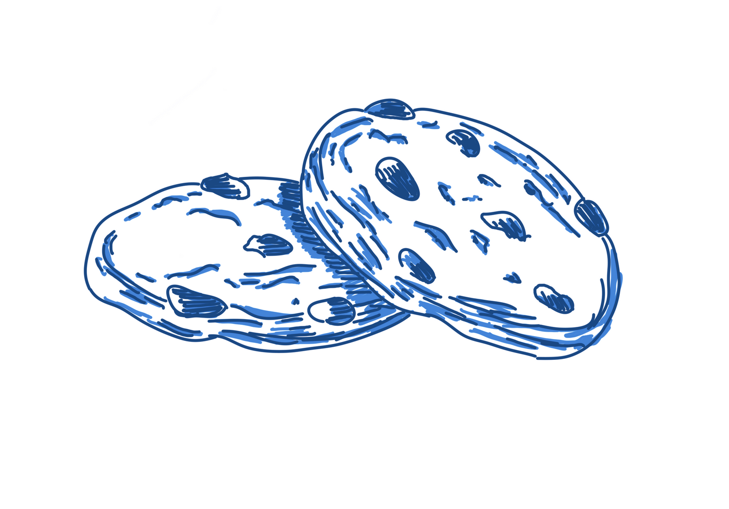 Artisan Biscuits