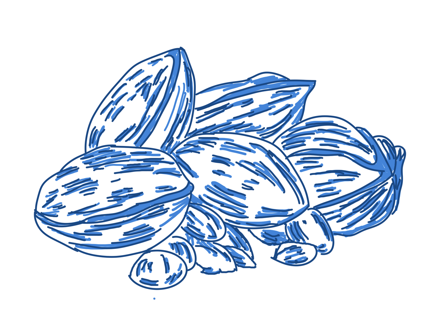 Nuts and Seeds