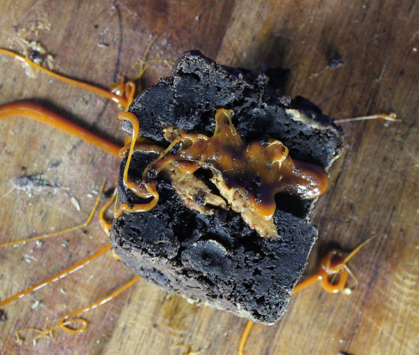 Rolo Stuffed Brownie – Caramel Filled Brownie