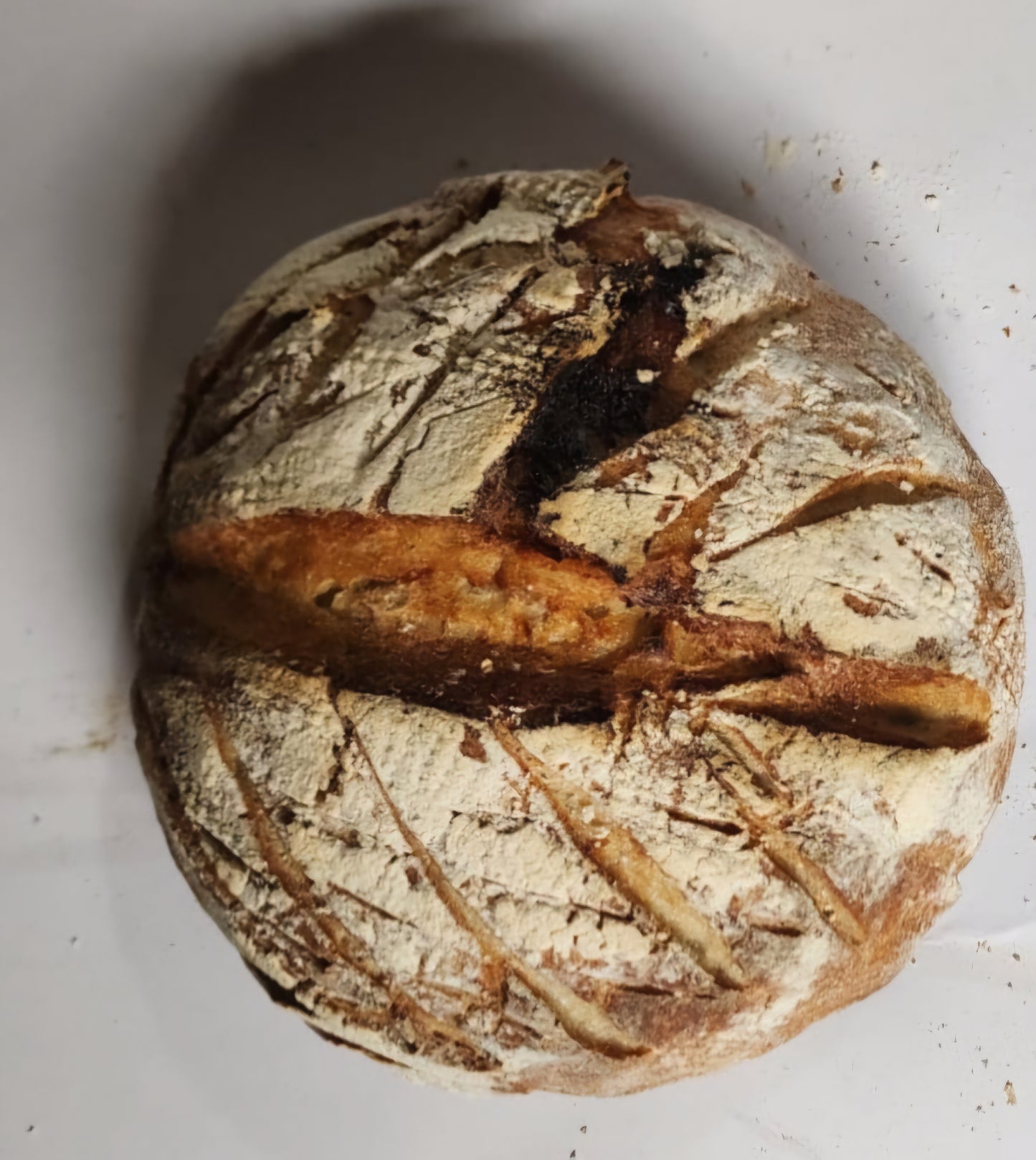 Artisan Sourdough Bread - Roasted Red Pepper & Parmesan